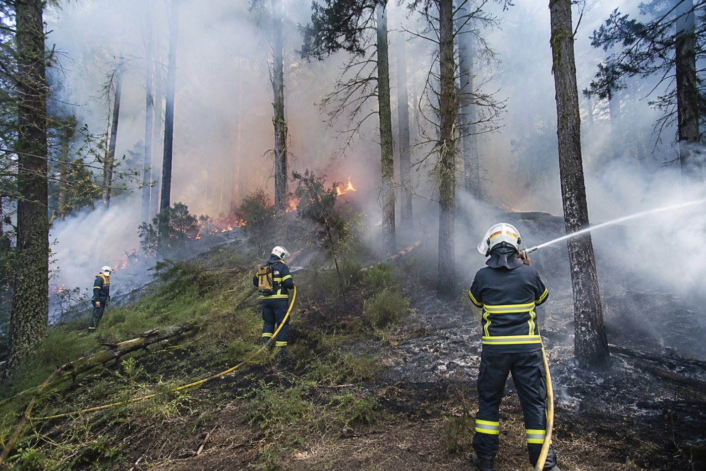 ¿Viajas a España o Francia? Los incendios forestales ya afectan algunas zonas turísticas y esto es lo que debes saber